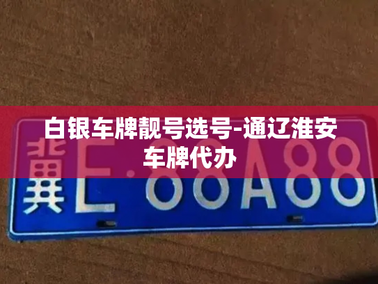 白银车牌靓号选号-通辽淮安车牌代办-第2张图片-七号汽车选号 白银车牌靓号选号-通辽淮安车牌代办-第2张图片-七号汽车选号