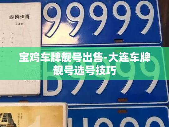 宝鸡车牌靓号出售-大连车牌靓号选号技巧-第3张图片-七号汽车选号 宝鸡车牌靓号出售-大连车牌靓号选号技巧-第3张图片-七号汽车选号