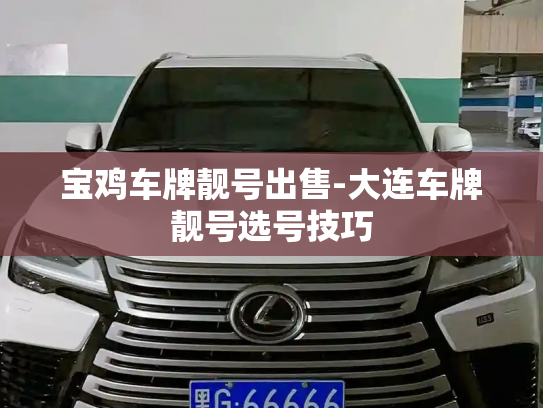 宝鸡车牌靓号出售-大连车牌靓号选号技巧-第2张图片-七号汽车选号 宝鸡车牌靓号出售-大连车牌靓号选号技巧-第2张图片-七号汽车选号