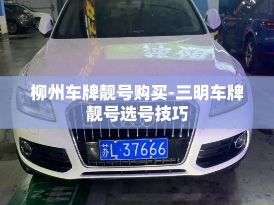 柳州车牌靓号购买-三明车牌靓号选号技巧-第3张图片-七号汽车选号 柳州车牌靓号购买-三明车牌靓号选号技巧-第3张图片-七号汽车选号
