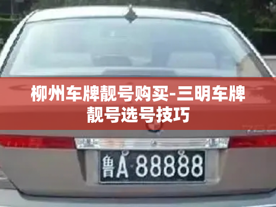 柳州车牌靓号购买-三明车牌靓号选号技巧-第4张图片-七号汽车选号 柳州车牌靓号购买-三明车牌靓号选号技巧-第4张图片-七号汽车选号