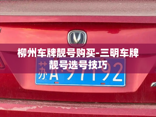 柳州车牌靓号购买-三明车牌靓号选号技巧-第2张图片-七号汽车选号 柳州车牌靓号购买-三明车牌靓号选号技巧-第2张图片-七号汽车选号