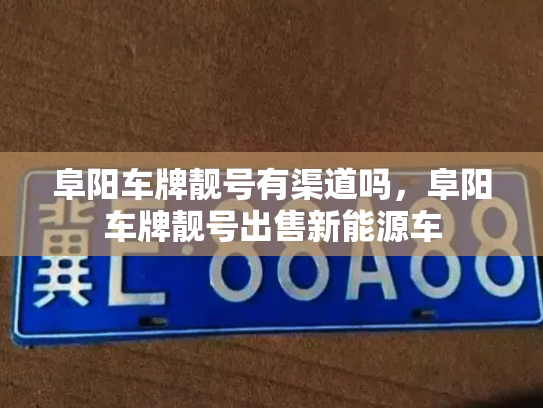 阜阳车牌靓号有渠道吗，阜阳车牌靓号出售新能源车-第2张图片-七号汽车选号