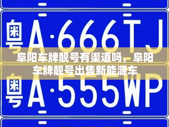 阜阳车牌靓号有渠道吗，阜阳车牌靓号出售新能源车-第3张图片-七号汽车选号