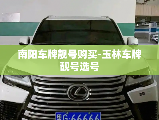 南阳车牌靓号购买-玉林车牌靓号选号-第3张图片-七号汽车选号