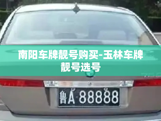 南阳车牌靓号购买-玉林车牌靓号选号-第4张图片-七号汽车选号