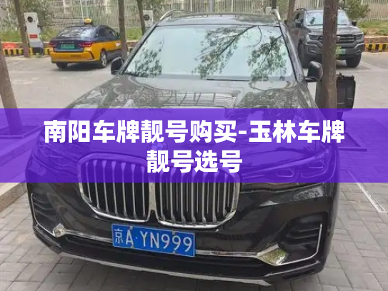南阳车牌靓号购买-玉林车牌靓号选号-第2张图片-七号汽车选号