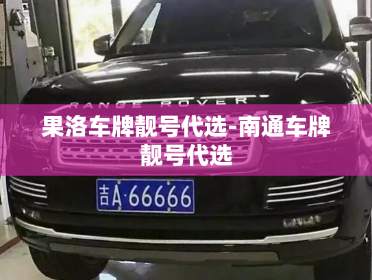 果洛车牌靓号代选-南通车牌靓号代选-第4张图片-七号汽车选号 果洛车牌靓号代选-南通车牌靓号代选-第4张图片-七号汽车选号