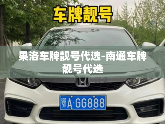 果洛车牌靓号代选-南通车牌靓号代选-第2张图片-七号汽车选号 果洛车牌靓号代选-南通车牌靓号代选-第2张图片-七号汽车选号