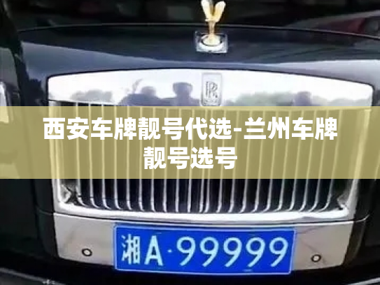 西安车牌靓号代选-兰州车牌靓号选号-第3张图片-七号汽车选号 西安车牌靓号代选-兰州车牌靓号选号-第3张图片-七号汽车选号