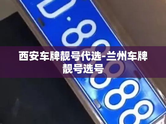 西安车牌靓号代选-兰州车牌靓号选号-第2张图片-七号汽车选号 西安车牌靓号代选-兰州车牌靓号选号-第2张图片-七号汽车选号