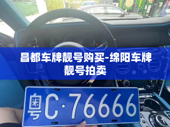 昌都车牌靓号购买-绵阳车牌靓号拍卖-第3张图片-七号汽车选号