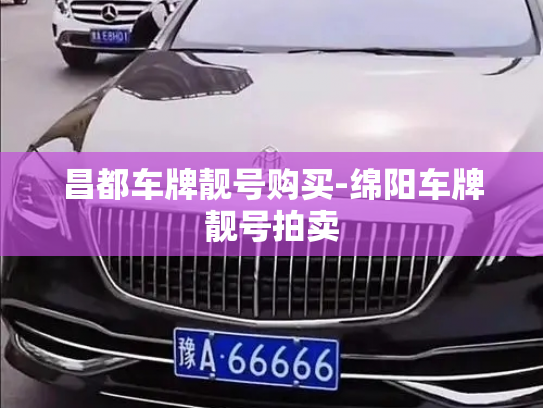 昌都车牌靓号购买-绵阳车牌靓号拍卖-第4张图片-七号汽车选号