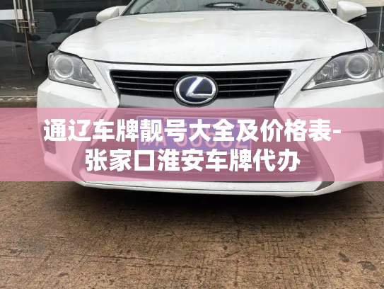 通辽车牌靓号大全及价格表-张家口淮安车牌代办-第4张图片-七号汽车选号 通辽车牌靓号大全及价格表-张家口淮安车牌代办-第4张图片-七号汽车选号