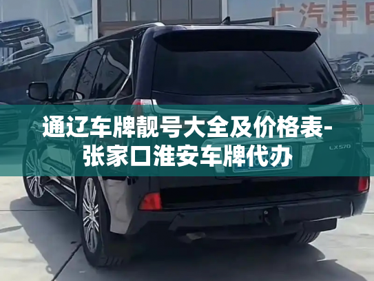 通辽车牌靓号大全及价格表-张家口淮安车牌代办-第2张图片-七号汽车选号 通辽车牌靓号大全及价格表-张家口淮安车牌代办-第2张图片-七号汽车选号