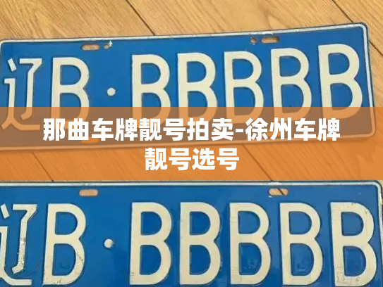 那曲车牌靓号拍卖-徐州车牌靓号选号-第3张图片-七号汽车选号 那曲车牌靓号拍卖-徐州车牌靓号选号-第3张图片-七号汽车选号