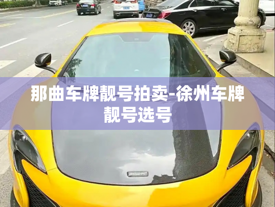 那曲车牌靓号拍卖-徐州车牌靓号选号-第2张图片-七号汽车选号 那曲车牌靓号拍卖-徐州车牌靓号选号-第2张图片-七号汽车选号