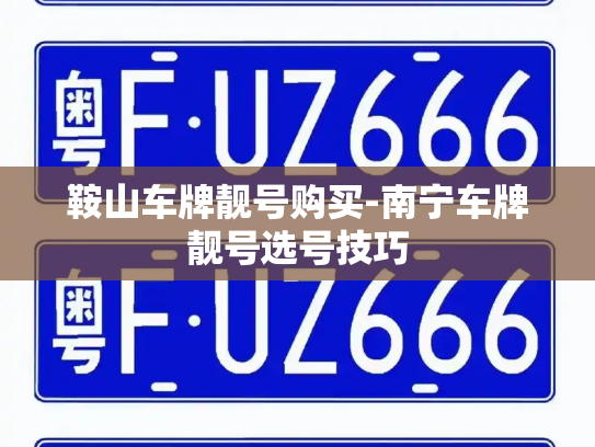 鞍山车牌靓号购买-南宁车牌靓号选号技巧-第3张图片-七号汽车选号