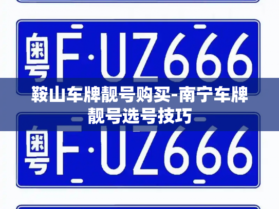 鞍山车牌靓号购买-南宁车牌靓号选号技巧-第4张图片-七号汽车选号