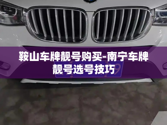 鞍山车牌靓号购买-南宁车牌靓号选号技巧-第2张图片-七号汽车选号