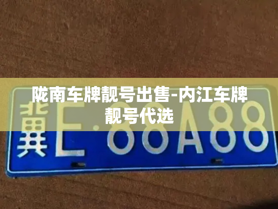 陇南车牌靓号出售-内江车牌靓号代选-第4张图片-七号汽车选号 陇南车牌靓号出售-内江车牌靓号代选-第4张图片-七号汽车选号