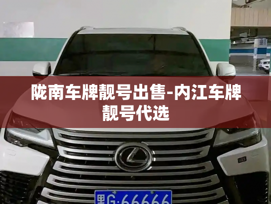 陇南车牌靓号出售-内江车牌靓号代选-第2张图片-七号汽车选号 陇南车牌靓号出售-内江车牌靓号代选-第2张图片-七号汽车选号