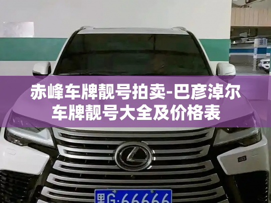 赤峰车牌靓号拍卖-巴彦淖尔车牌靓号大全及价格表-第2张图片-七号汽车选号