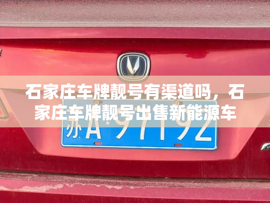 石家庄车牌靓号有渠道吗，石家庄车牌靓号出售新能源车-第3张图片-七号汽车选号