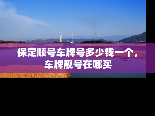 保定顺号车牌号多少钱一个，车牌靓号在哪买