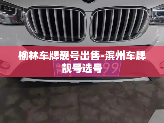 榆林车牌靓号出售-滨州车牌靓号选号-第3张图片-七号汽车选号 榆林车牌靓号出售-滨州车牌靓号选号-第3张图片-七号汽车选号