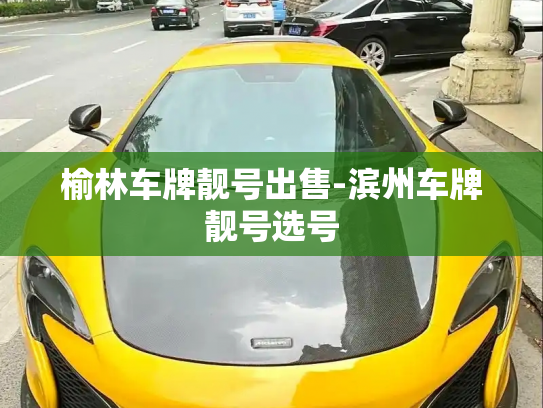 榆林车牌靓号出售-滨州车牌靓号选号-第2张图片-七号汽车选号 榆林车牌靓号出售-滨州车牌靓号选号-第2张图片-七号汽车选号