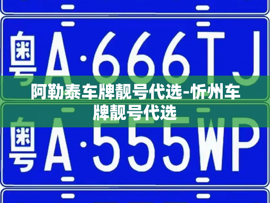 阿勒泰车牌靓号代选-忻州车牌靓号代选-第3张图片-七号汽车选号 阿勒泰车牌靓号代选-忻州车牌靓号代选-第3张图片-七号汽车选号