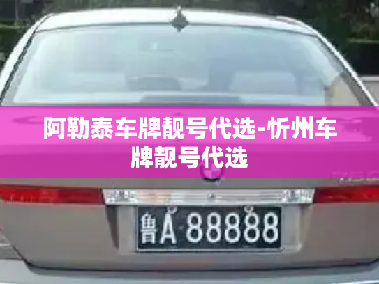 阿勒泰车牌靓号代选-忻州车牌靓号代选-第2张图片-七号汽车选号 阿勒泰车牌靓号代选-忻州车牌靓号代选-第2张图片-七号汽车选号