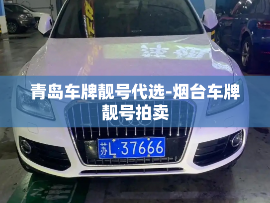 青岛车牌靓号代选-烟台车牌靓号拍卖-第3张图片-七号汽车选号 青岛车牌靓号代选-烟台车牌靓号拍卖-第3张图片-七号汽车选号