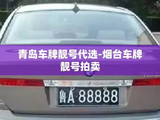 青岛车牌靓号代选-烟台车牌靓号拍卖-第2张图片-七号汽车选号 青岛车牌靓号代选-烟台车牌靓号拍卖-第2张图片-七号汽车选号