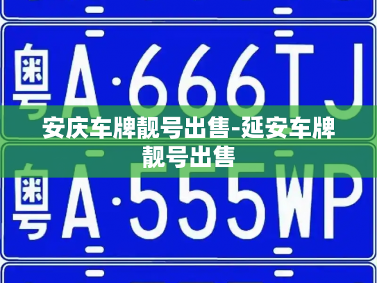 安庆车牌靓号出售-延安车牌靓号出售-第3张图片-七号汽车选号 安庆车牌靓号出售-延安车牌靓号出售-第3张图片-七号汽车选号