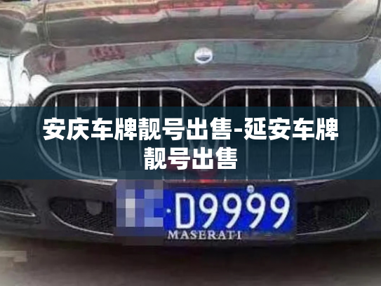 安庆车牌靓号出售-延安车牌靓号出售-第4张图片-七号汽车选号 安庆车牌靓号出售-延安车牌靓号出售-第4张图片-七号汽车选号