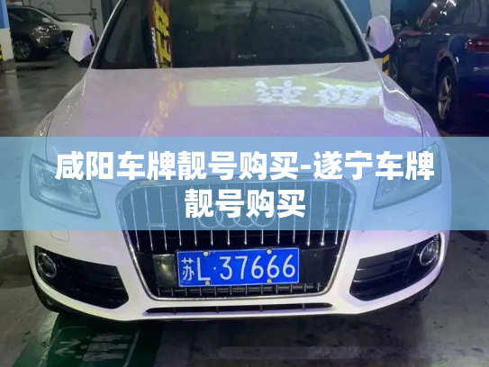 咸阳车牌靓号购买-遂宁车牌靓号购买-第3张图片-七号汽车选号 咸阳车牌靓号购买-遂宁车牌靓号购买-第3张图片-七号汽车选号