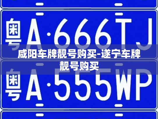 咸阳车牌靓号购买-遂宁车牌靓号购买-第4张图片-七号汽车选号 咸阳车牌靓号购买-遂宁车牌靓号购买-第4张图片-七号汽车选号