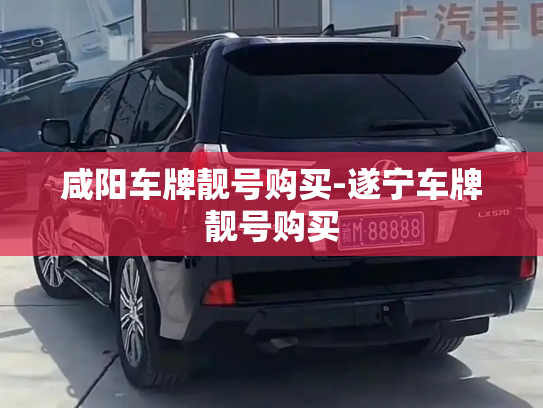 咸阳车牌靓号购买-遂宁车牌靓号购买-第2张图片-七号汽车选号 咸阳车牌靓号购买-遂宁车牌靓号购买-第2张图片-七号汽车选号