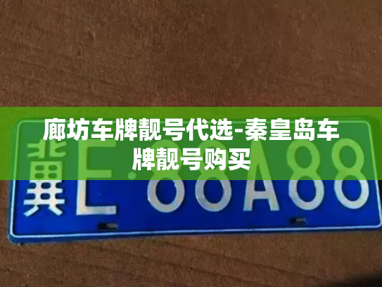 廊坊车牌靓号代选-秦皇岛车牌靓号购买-第3张图片-七号汽车选号