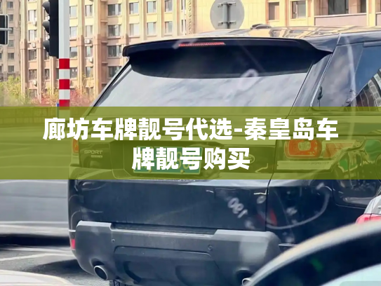 廊坊车牌靓号代选-秦皇岛车牌靓号购买-第2张图片-七号汽车选号