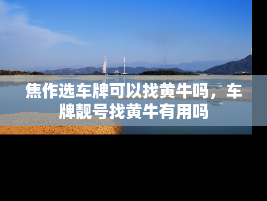 焦作选车牌可以找黄牛吗，车牌靓号找黄牛有用吗
