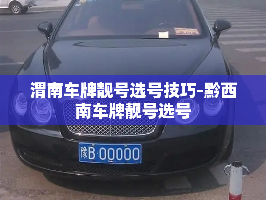 渭南车牌靓号选号技巧-黔西南车牌靓号选号-第3张图片-七号汽车选号