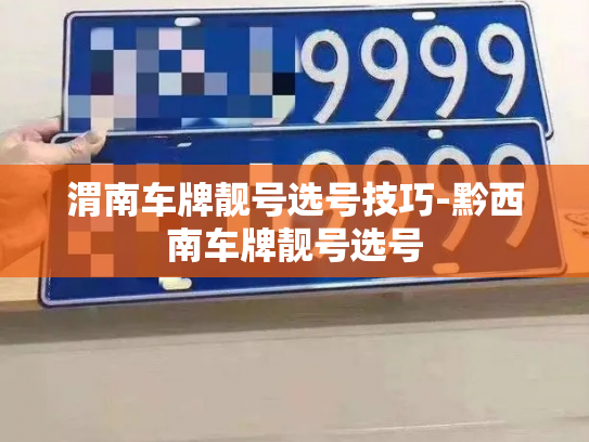 渭南车牌靓号选号技巧-黔西南车牌靓号选号-第2张图片-七号汽车选号