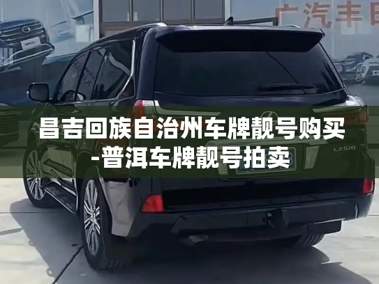 昌吉回族自治州车牌靓号购买-普洱车牌靓号拍卖-第3张图片-七号汽车选号