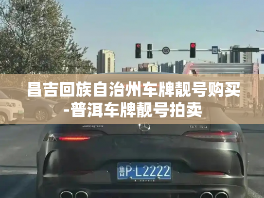 昌吉回族自治州车牌靓号购买-普洱车牌靓号拍卖-第2张图片-七号汽车选号