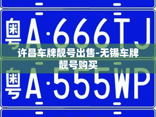 许昌车牌靓号出售-无锡车牌靓号购买-第3张图片-七号汽车选号 许昌车牌靓号出售-无锡车牌靓号购买-第3张图片-七号汽车选号