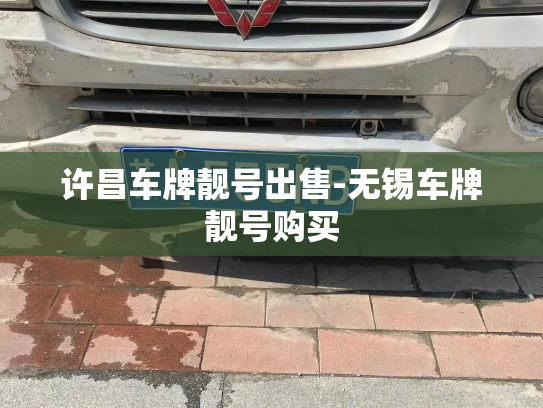 许昌车牌靓号出售-无锡车牌靓号购买-第2张图片-七号汽车选号 许昌车牌靓号出售-无锡车牌靓号购买-第2张图片-七号汽车选号