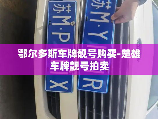 鄂尔多斯车牌靓号购买-楚雄车牌靓号拍卖-第3张图片-七号汽车选号 鄂尔多斯车牌靓号购买-楚雄车牌靓号拍卖-第3张图片-七号汽车选号
